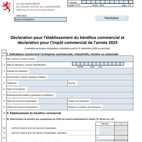 Aperçu du document Comprendre la Déclaration 110 F pour l'Impôt Commercial — Impôts & fiscalité (CERFA n°110 F)