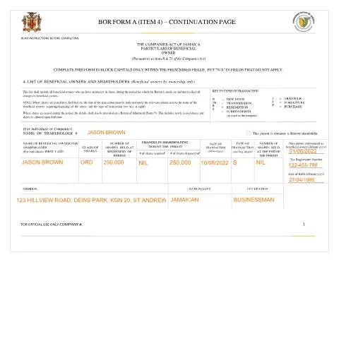 Document preview: The Importance of BOR FORM A CONTINUATION PAGE - ITEM 4 in Jamaica — Government & admin (CERFA n°CONTINUATION_PAGE_BOR_FORM_A_ITEM_4)