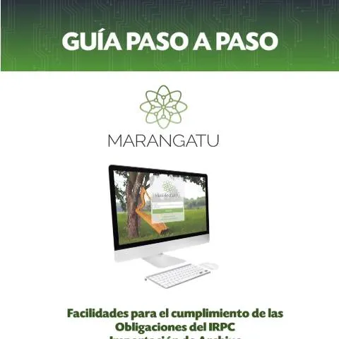 Vista previa del documento Guía para importar archivos en IRPC Paraguay paso a paso — Aduanas y comercio