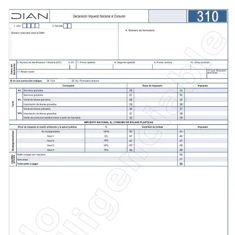 Vista previa del documento Guía para declarar el Impuesto Nacional al Consumo en Colombia 2024 — Impuestos (CERFA n°F310-2024)