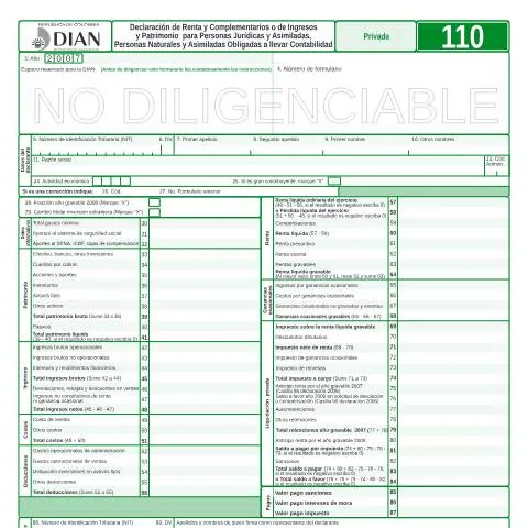Vista previa del documento Importancia del Formulario F110-2008 en la Declaración de Renta — Impuestos (CERFA n°F110-2008)