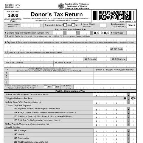 Document preview: A Comprehensive Guide to BIR Form No. 1800 — Taxes (CERFA n°1800)