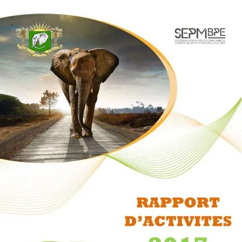 Aperçu du document Analyse complète du rapport d'activités 2017 de la DGI — Démarches administratives