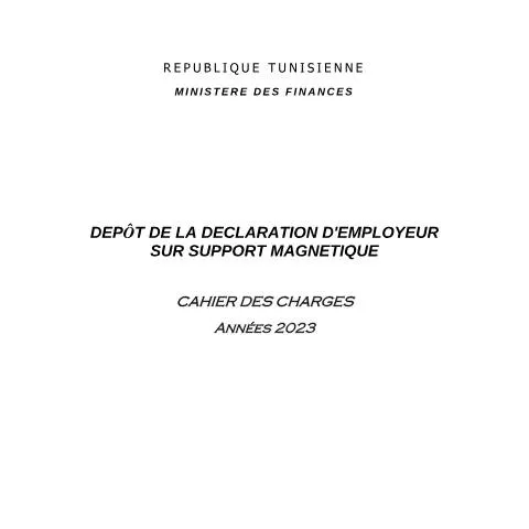 Aperçu du document Comprendre la Déclaration d'Employeur sur Support Magnétique en — Démarches administratives