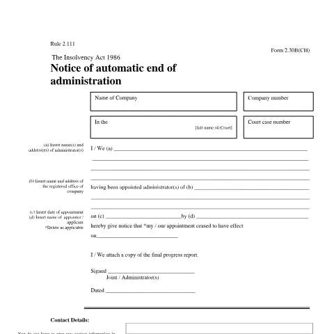 Document preview: Navigating the Automatic End of Administration in the UK — Government & admin