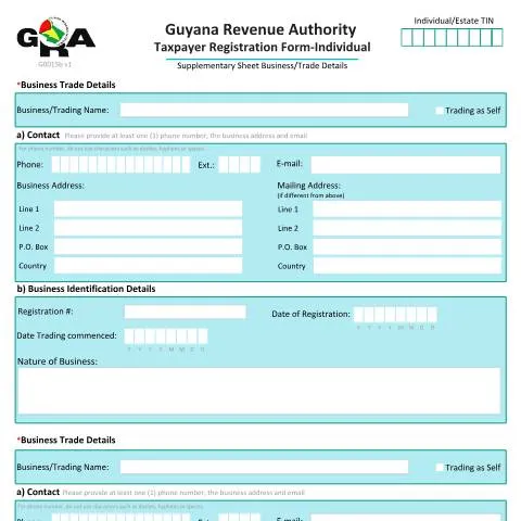 Document preview: Understanding the G0015b Individual Business Details Registration in