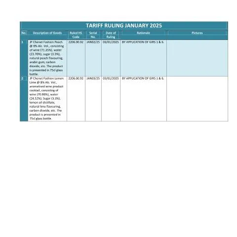 Document preview: Understanding the TRJan2025 Document in Mauritius — Government & admin (TRJan2025)