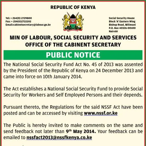 Document preview: Understanding the NSSF Public Notice for Stakeholders — Government & admin (CERFA n°PUBLIC-NOTICE)