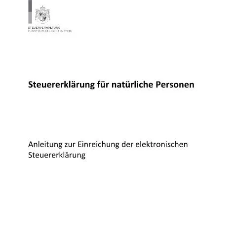 Dokumentvorschau: Elektronische Steuererklärung für natürliche Personen in Liechtenstein — Steuern (CERFA n°steuererklaerung-fuer-natuerliche-personen-anleitung-zur-einreichung-der-elektronischen-steuererklaerung)