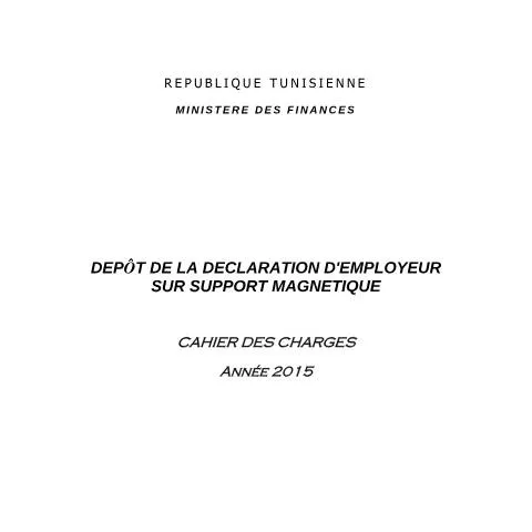Aperçu du document Comprendre la déclaration d'employeur sur support magnétique — Démarches administratives