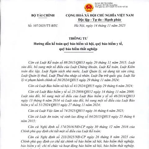 Document preview: Thông tư 107/2025/TT-BTC: Cập nhật kế toán bảo hiểm tại Việt Nam — Sức khỏe (CERFA n°107/2025/TT-BTC)