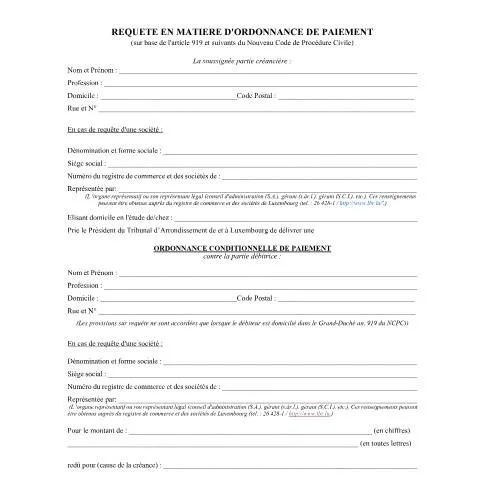Aperçu du document Procédure d'ordonnance de paiement au Luxembourg — Juridique & justice (CERFA n°requete-ordonnance-paiement-plus-15000)