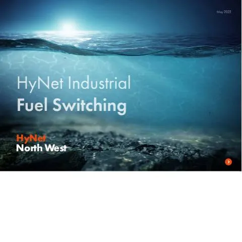 Document preview: Understanding the Industrial Fuel Switching Competition 2019 — Government & admin