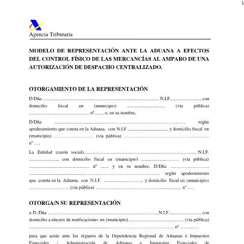 Vista previa del documento Importancia del Modelo de Representación ante la Aduana — Aduanas y comercio
