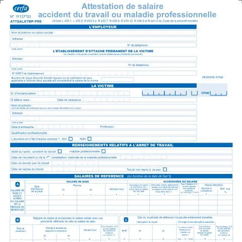 Aperçu du document Attestation de salaire accident du travail : maîtriser le 11137*03 — Santé (CERFA n°11137*03)