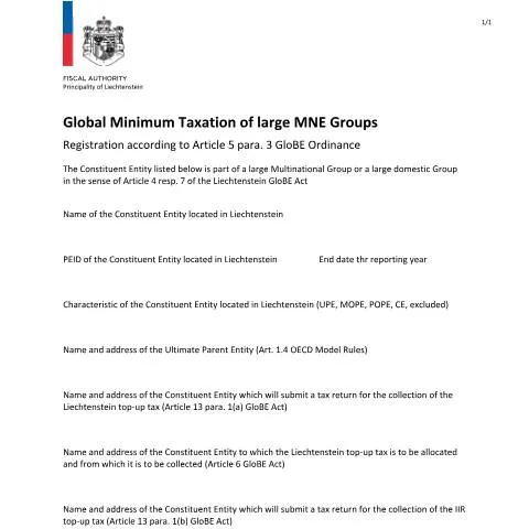 Dokumentvorschau: Wichtigkeit des Registrierungsformulars für die Mindestbesteuerung — Steuern (CERFA n°int_globe_registration_form)