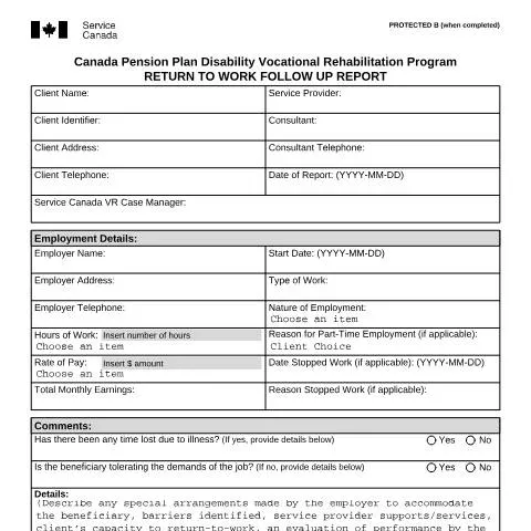 Document preview: Understanding the Return to Work Follow Up Report for Rehabilitation — Work & employment (CERFA n°ISP2582)