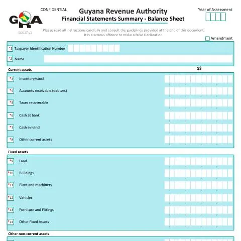 Document preview: Financial Statement Summary Balance Sheet for Guyana Revenue Authority — Taxes