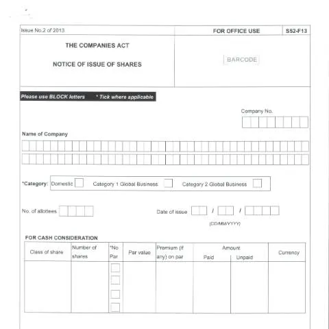 Document preview: Navigating the F13 Document for Share Issuance — Government & admin (F13)