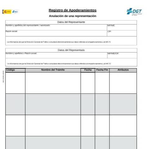 Vista previa del documento Guía para el Modelo 25 de Anulación de Representación en la DGT — Trámites administrativos (CERFA n°25)