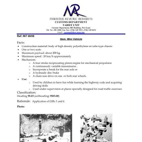 Document preview: Understanding Mini Vehicle Classification in Mauritius — Government & admin (MiniVehicle)