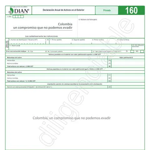 Vista previa del documento Explora la Declaración Anual de Activos en el Exterior F160-2017 — Impuestos (CERFA n°F160-2017)