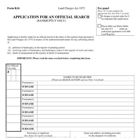 Document preview: How to Apply for Official Bankruptcy Searches Using Form K16 — Government & admin