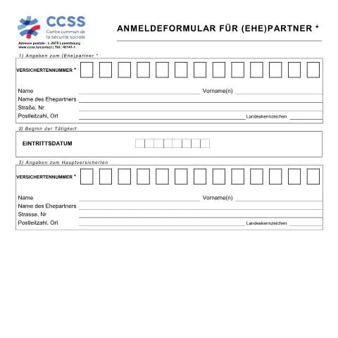 Aperçu du document Guide d'inscription pour les partenaires aidants au Luxembourg — Famille (CERFA n°ccss-formulaire-entree-aidants)
