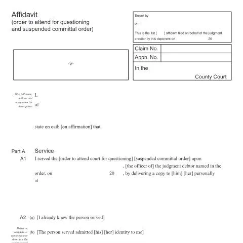 Document preview: How to Complete Form EX550: Affidavit of Service for Court Documents — Legal & justice