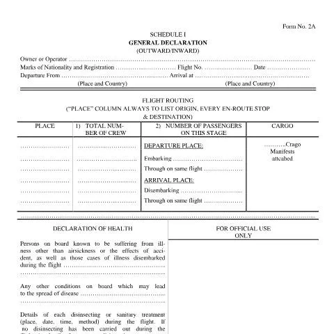 Document preview: Understanding the Aircraft Report Form No. 2A for Operators — Government & admin (FormNo2A)