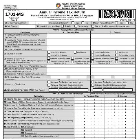 Document preview: Navigating BIR Form No. 1701-MS for Micro and Small Taxpayers — Taxes (CERFA n°1701-MS)