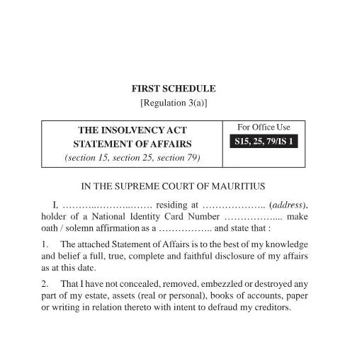 Document preview: Understanding the Statement of Affairs IS1 in Mauritius — Government & admin (Statement-of-Affairs-_-IS1)
