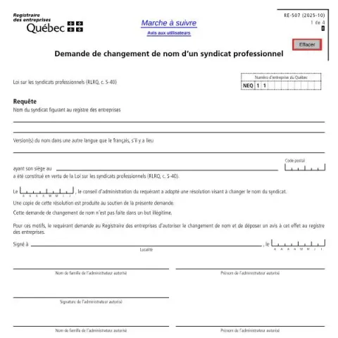Document preview: Guide to Changing a Professional Union’s Name in Quebec (French) — Government & admin (RE-507)