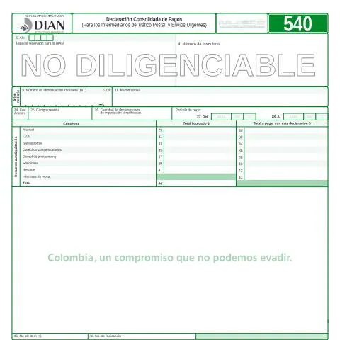 Vista previa del documento Todo sobre la Declaración Consolidada de Pagos F540-2007 — Impuestos (CERFA n°F540-2007)