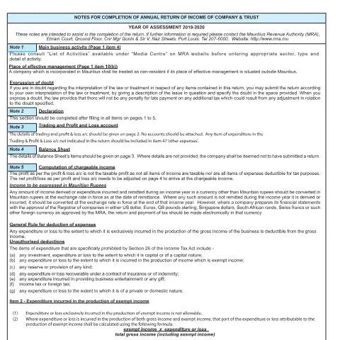 Document preview: Mastering the Annual Return: IT033ANotes1920 Explained — Government & admin (CERFA n°IT033ANotes1920)