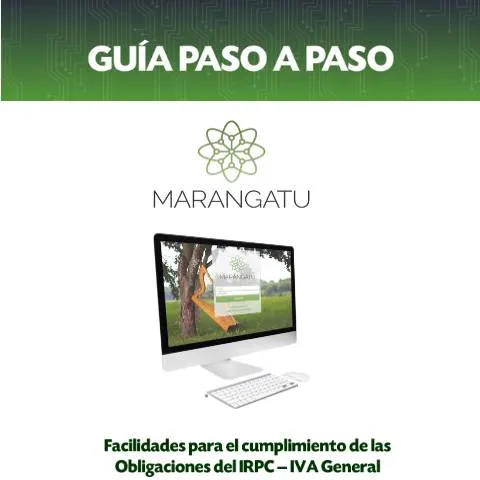 Vista previa del documento Guías paso a paso para IRPC e IVA en Paraguay — Impuestos