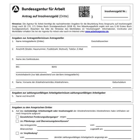 Dokumentvorschau: Insolvenzgeld für Dritte beantragen: So funktioniert's — Arbeit & Beschäftigung (CERFA n°antraginsolvenzgeldd_ba031795)