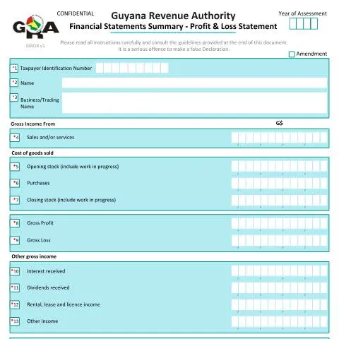 Document preview: Understanding the G0018 Financial Statements Summary Profit & Loss — Taxes