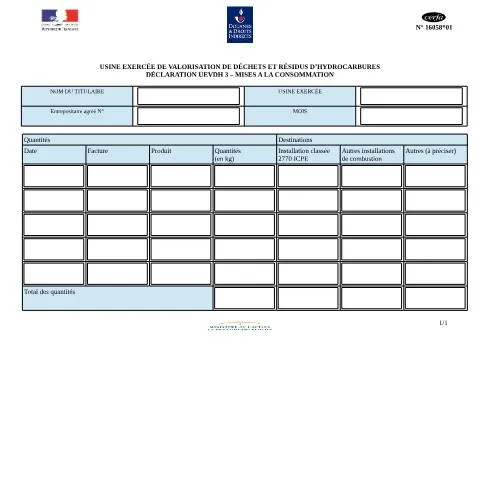 Aperçu du document Déclaration UEVDH 3 : obligations fiscales des usines de valorisation — Environnement & énergie (CERFA n°16058*01)