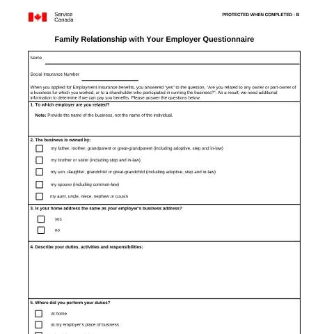 Document preview: Understanding the INS5245 Questionnaire for EI Benefits — Work & employment (CERFA n°INS5245)