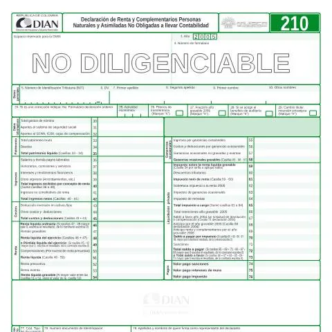 Vista previa del documento Importancia de la Declaración de Renta F210-2006 en Colombia — Impuestos (CERFA n°F210-2006)