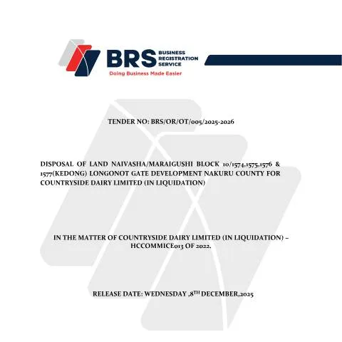 Document preview: Understanding the Naivasha Land Block 10 Tender Document — Government & admin (CERFA n°DISPOSAL-OF-NAIVASHA-LAND-BLOCK-10-TENDER-DOCUMENT)