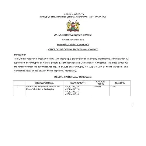 Document preview: Navigating the or-service-charter for Insolvency in Kenya — Government & admin (CERFA n°or-service-charter)