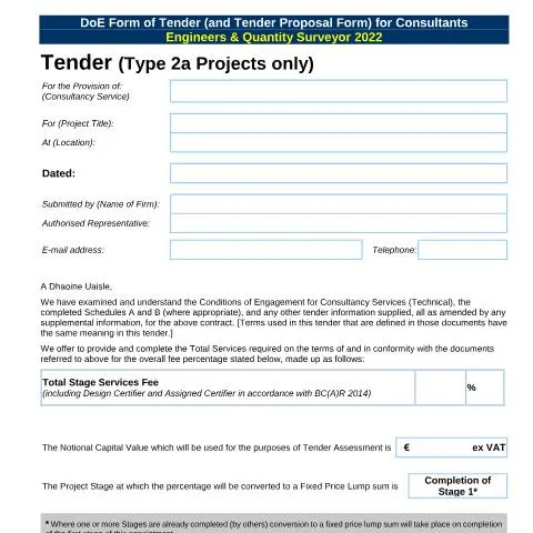 Document preview: Understanding the QS2022 Tender Process for Consultants — Government & admin (CERFA n°QS2022)