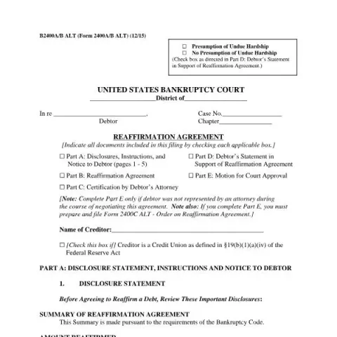 Document preview: Understanding the Reaffirmation Agreement in U.S. Bankruptcy Cases — Legal & justice (B2400A/B ALT)