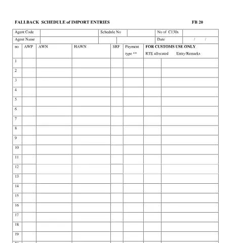 Document preview: Navigating the FB20 Fallback Schedule for Imports — Government & admin