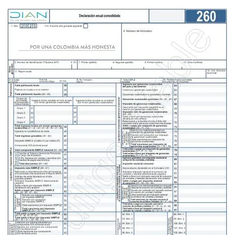 Vista previa del documento Guía para la declaración anual consolidada en Colombia 2021 — Impuestos (CERFA n°F260-2021)
