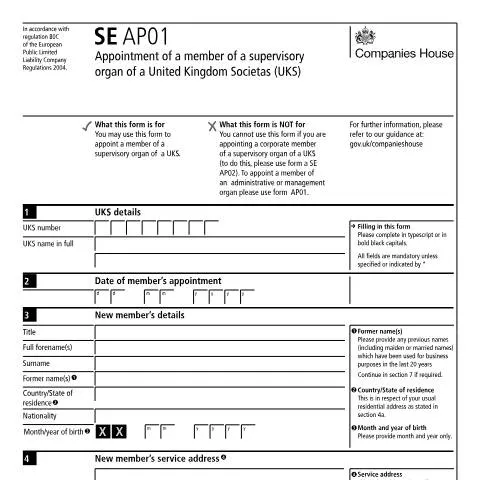 Document preview: Navigating the SE AP01 Form for UK Societas Appointments — Business