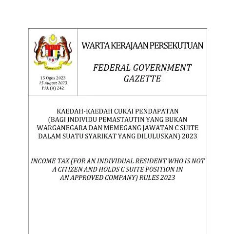 Document preview: Panduan Lengkap untuk Individu Bukan Warganegara di Jawatan C Suite — Cukai & percukaian