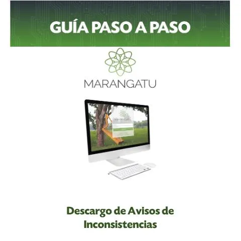 Vista previa del documento Guía paso a paso para gestionar avisos de inconsistencias en Paraguay — Trámites administrativos
